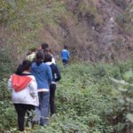Trekking Hiking